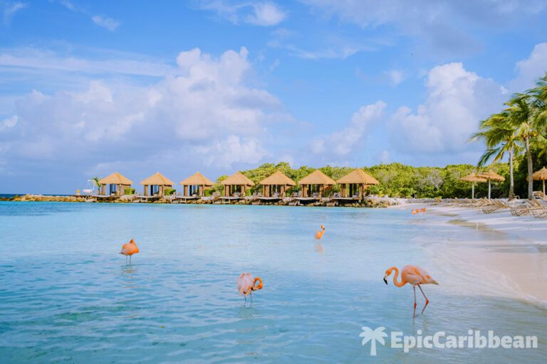 7 Best Caribbean Islands to Visit in February (2023 Reviews)