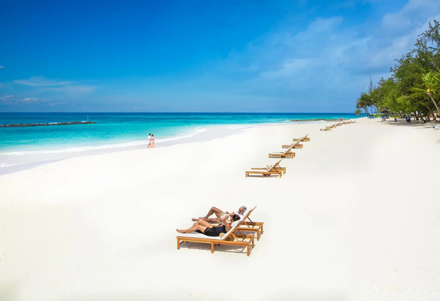 Sandals Barbados. Sandals Barbados. You will find the lovely Sandals Barbados in the St. Lawrence Gap area of Barbados. It is an all-inclusive resort with swim-up suites, free Wi-Fi, a dive shop and so much more for you to have a beautiful and amazing time. It is situated next door to another Sandals property - Sandals Royal Barbados. The two resorts share common grounds, so you get to stay at one and play at two. .