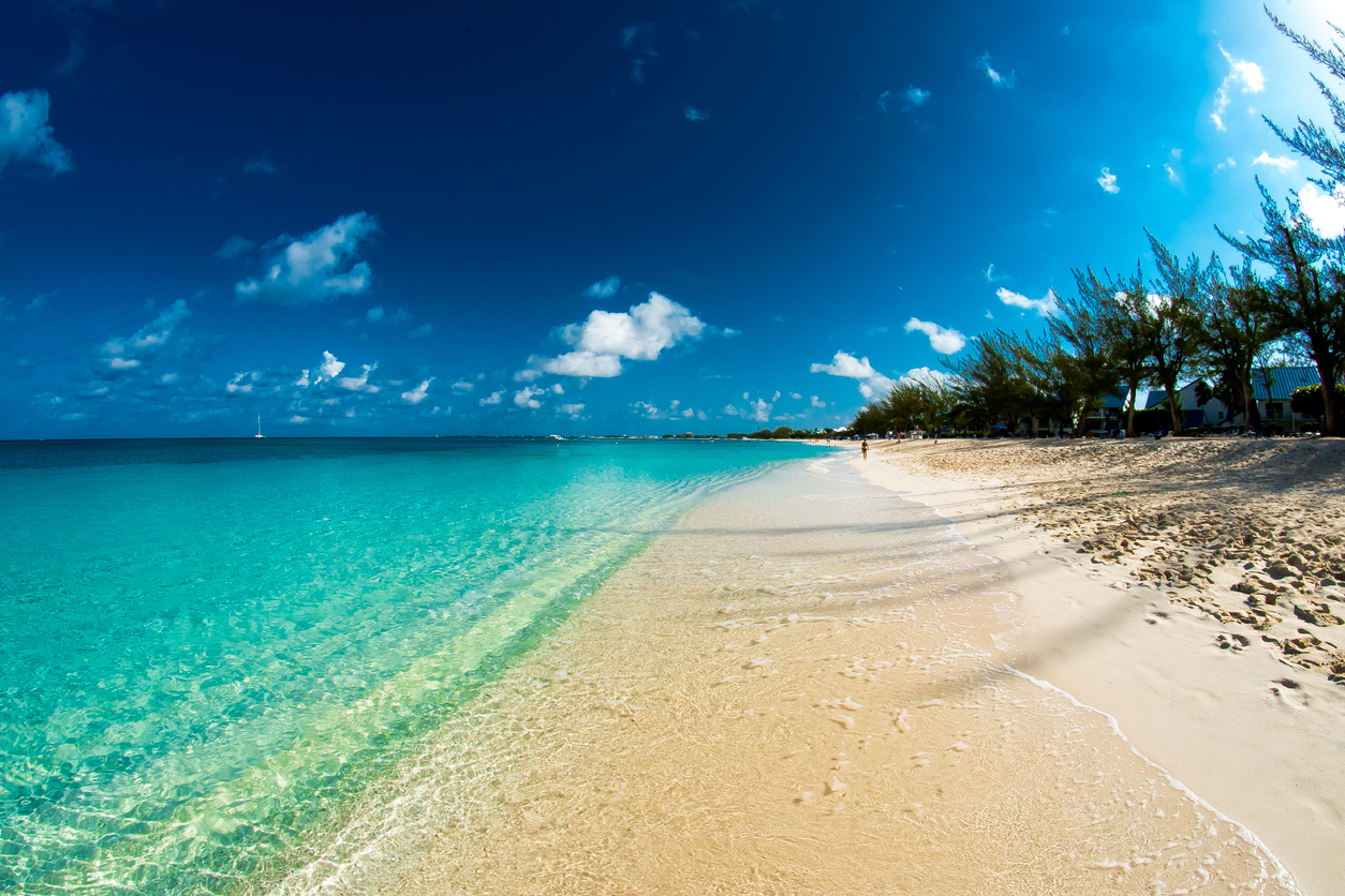 7 Best Caribbean Islands to Visit in February (2023 Reviews)