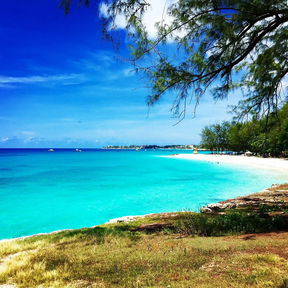 Miami Beach barbados
