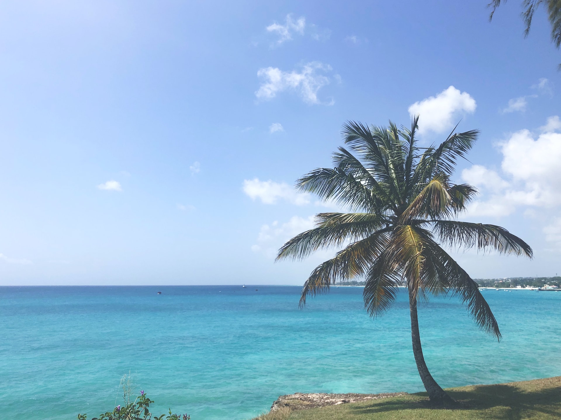 barbados miami beach