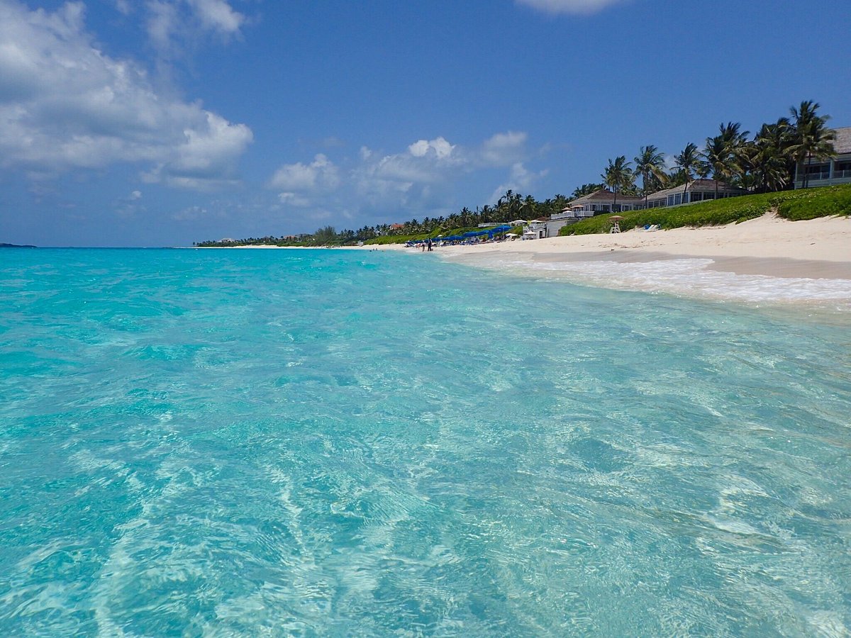 cabbage beach