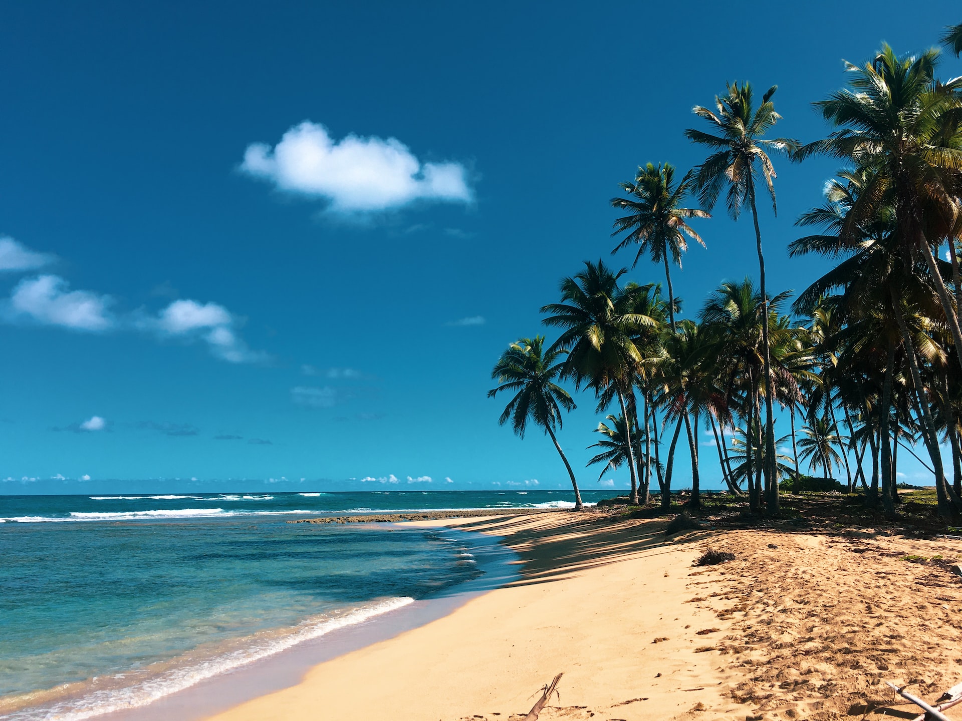dominican republic