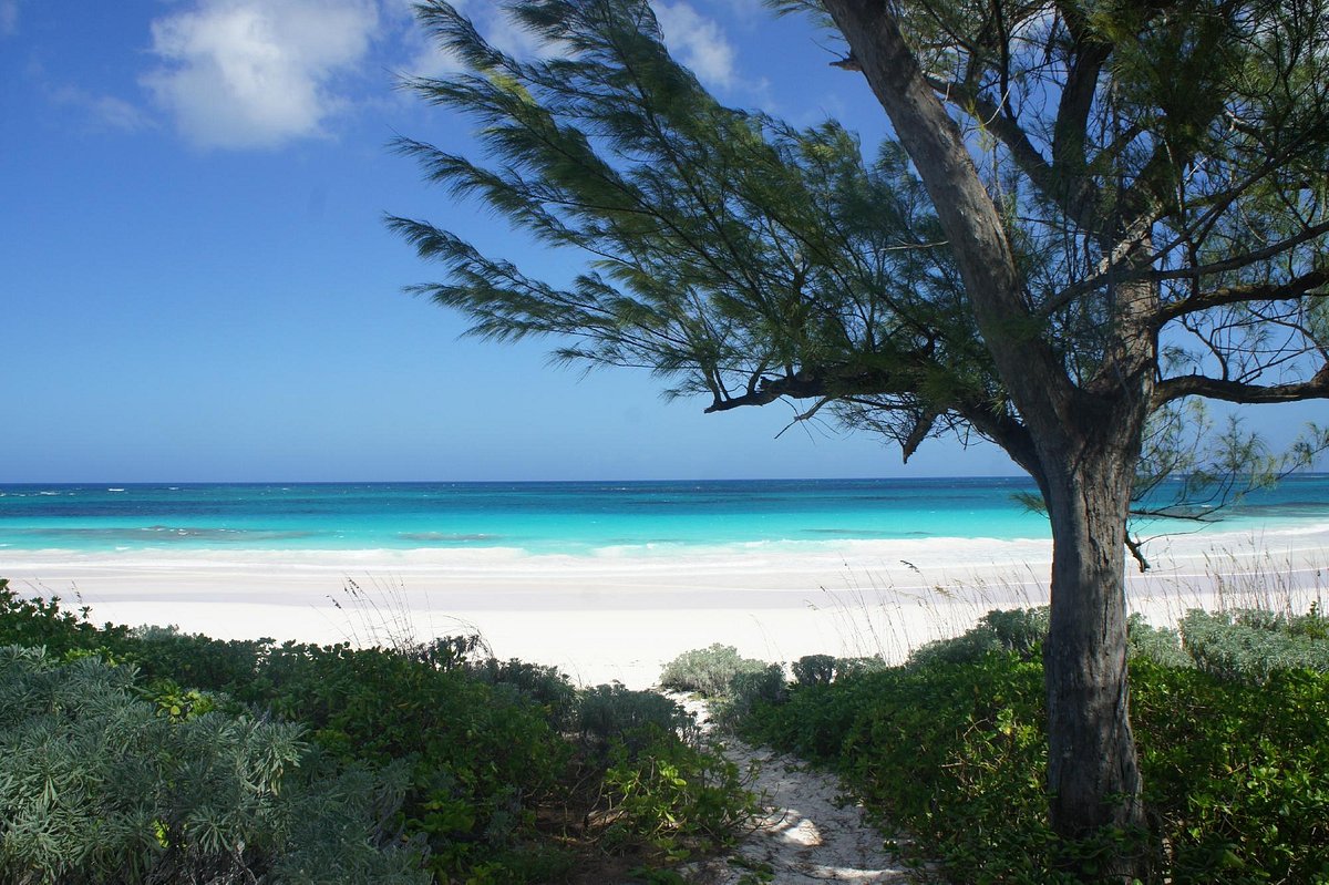 french leave beach