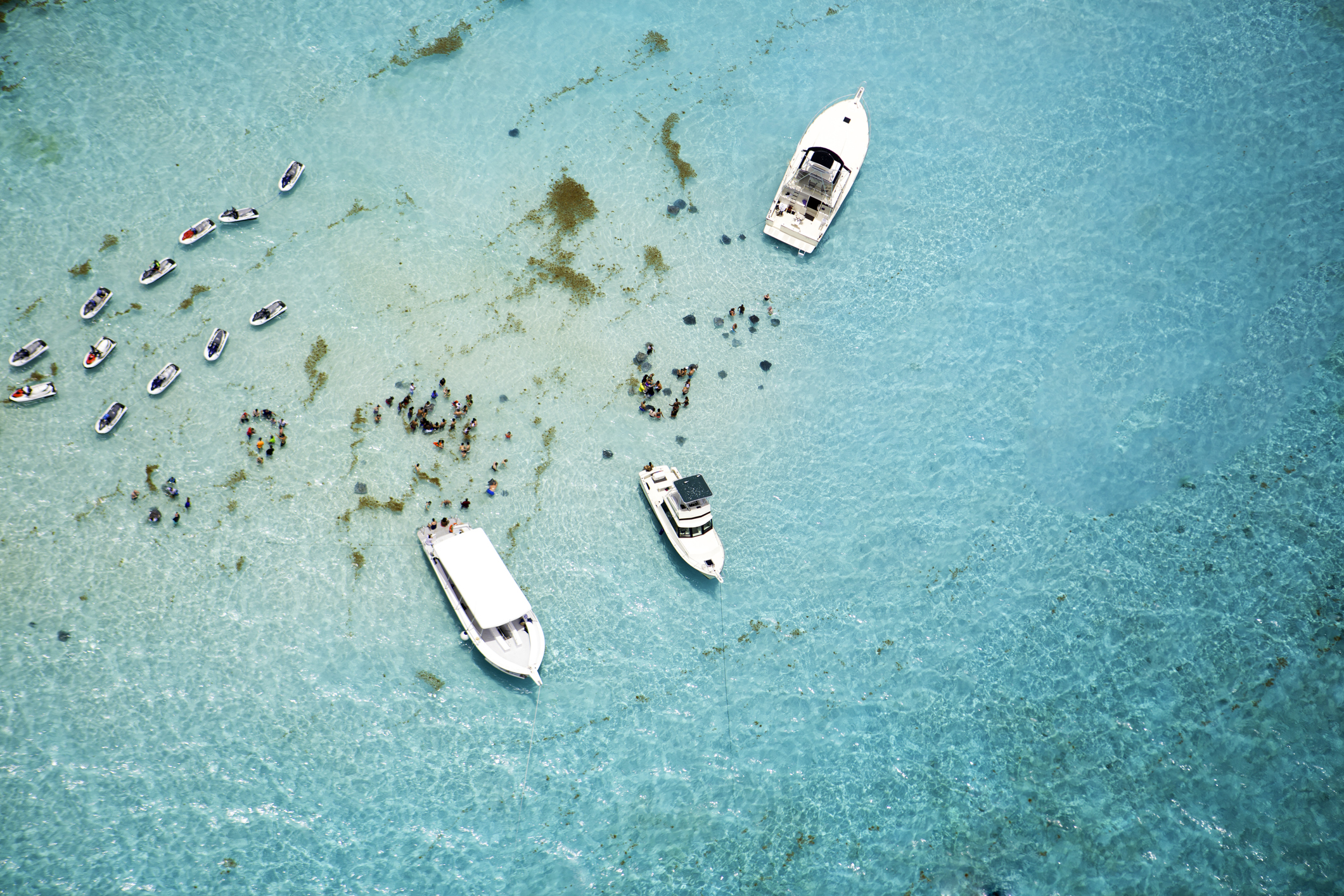 5 Best Caribbean Islands To Visit In August (2023 Reviews)